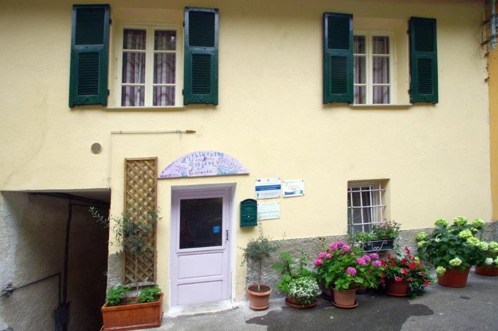 Agriturismo Nonnamelia Nasino Extérieur photo