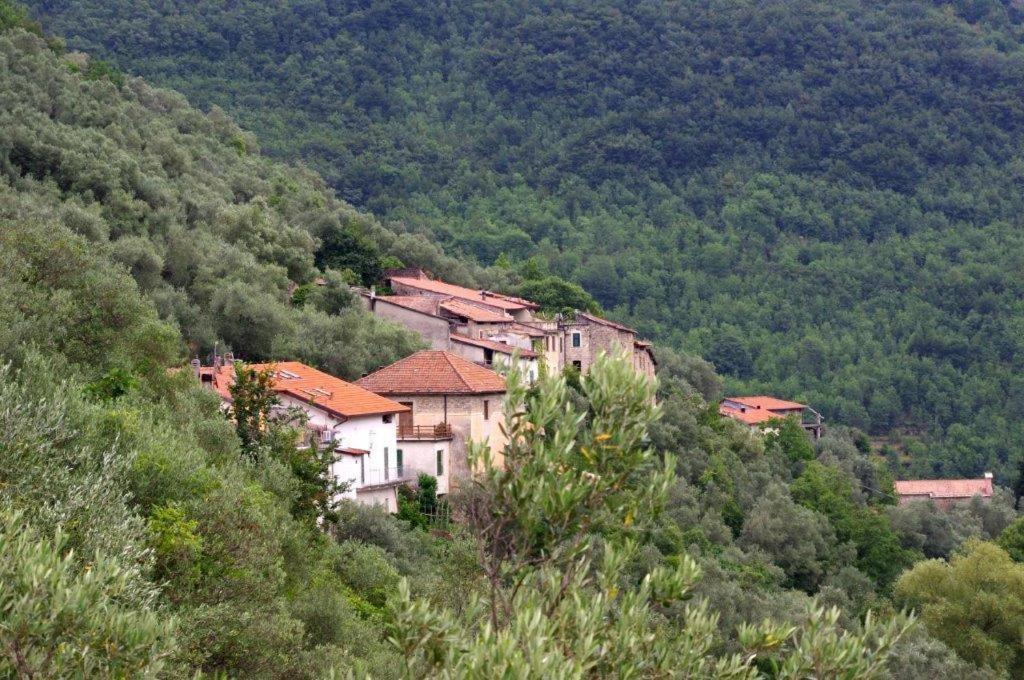 Agriturismo Nonnamelia Nasino Extérieur photo